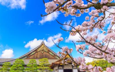 限定NAKED二條城夢幻夜櫻｜哲學之道.蹴上傾斜鐵道.平安神宮神苑.醍醐寺.上賀茂神社.奈良梅花鹿公園五日