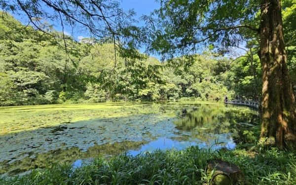 宜蘭旅遊｜好享住奢華.最高折3百｜動植物秘境天堂『福山植物園』.蘭楊趣味釣蝦.礁溪老爺1泊2食二日｜台中出發