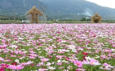 春節折500．花蓮旅遊│慶修院.撒固兒步道.富里春季花海.東大門夜市.新城諾亞方舟三日｜台中出發