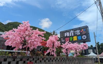 花蓮旅遊．火車來回｜折1000、玉山神學院櫻花、月崖灣親子農場、新城天主堂、鈺展苗圃落羽松三日｜高雄出發