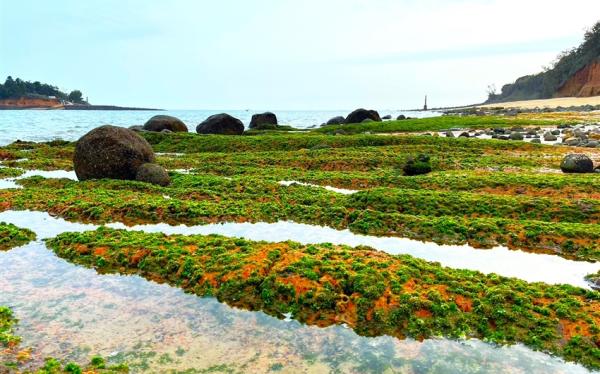 金門旅遊｜【仙境金門】小金門夢幻綠石槽．大金門奇幻藍眼淚．翟山坑道3日｜高雄出發