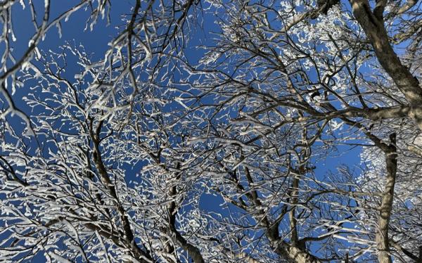 客製｜北陸上高地~樹冰雪地健行、大正池、吉卜力樂園、白川鄉合掌村迷你小團五日※不含機票