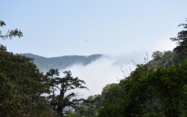 桃園旅遊｜第二人折3000.東眼山.拉拉山深度之旅.山嵐繚繞.原味餐桌.泰雅文化二日