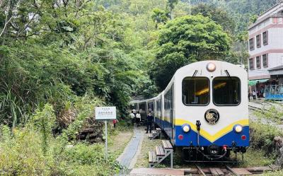 嘉義旅遊｜阿里山火車.栩悅號.二萬平日落.祝山小笠原三日