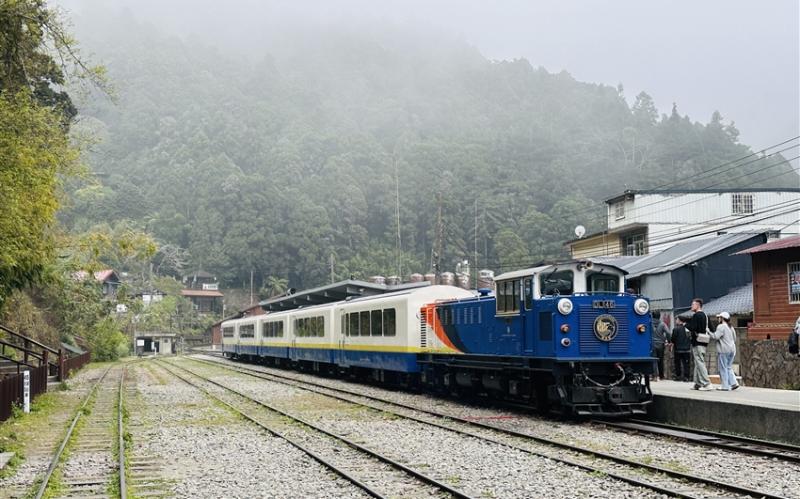 嘉義旅遊｜阿里山火車.栩悅號.國家森林步道巡禮.絕美二萬平二日｜高鐵來回