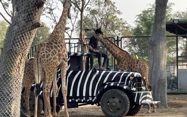 泰國｜大城獅子動物園、王朝古都巡禮、嘟嘟車遊大城、河畔米推料理、浪漫夜遊湄南河5日｜兩人成行