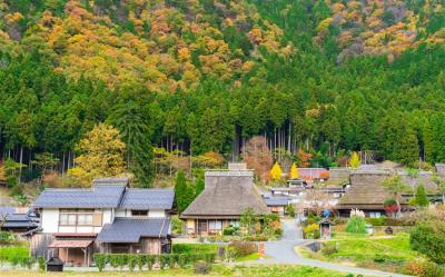 關西特選京阪奈｜百年路面京福電鐵.山林祕境三千院.美山町合掌村.奈良萌鹿.清水寺.金閣寺.嵐山渡月橋五日