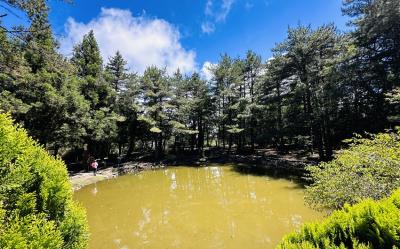 高屏旅遊｜現折$1000｜微笑藍皮.南橫天池.VR防空洞體驗.高雄和逸.台東桂田.高鐵回四日