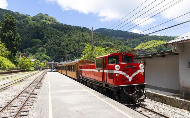 |鳴日號x福森號|森之鳴響.阿里山.嘉義小旅行3日(南港出發)