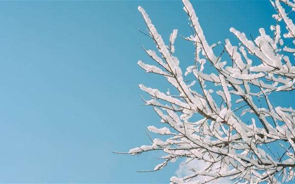 藏王樹冰．最上川雪見舟．銀山溫泉