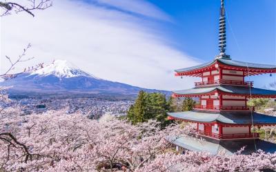 櫻紛飛東京｜富士山春櫻美景.身延山纜車.河口湖天晴號.小石川後樂園.新宿御苑.美食溫泉六日｜高雄來回