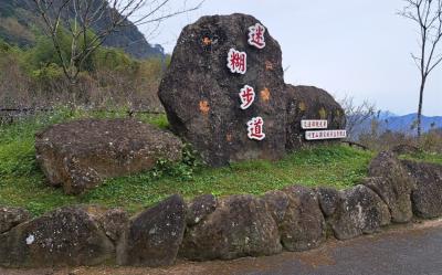 嘉義｜38女王節｜迷糊步道賞螢.二延平步道.阿里山森林遊樂園區步道森呼吸二日｜中部出發