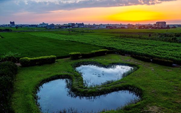 Su Wang-fang/Photography
