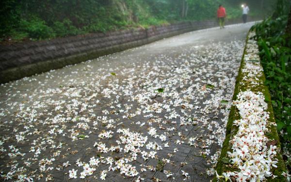 出關步道（樟之細路）