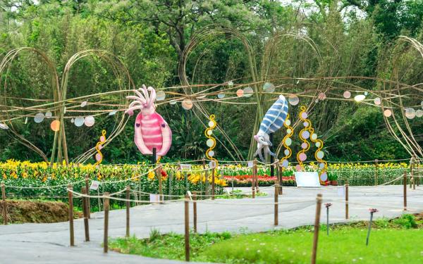 桃園彩色海芋季-絲情話意