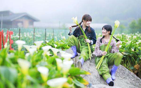 體驗穿青蛙裝下田採海芋