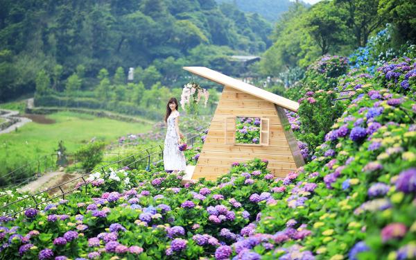 竹子湖海芋季及繡球花季，農園中的地景藝術為農友親自打造，別具特色