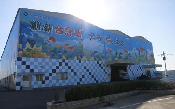 台灣鯛外觀建築