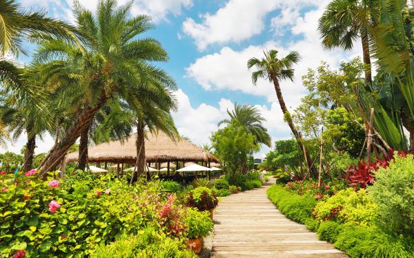 雅聞BALI