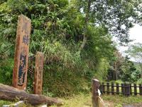 賀歲折1000．宜蘭旅遊｜冬山河綠舟遊船.太平山見晴步道.招財採銀柳.村却溫泉酒店三日｜台中出發