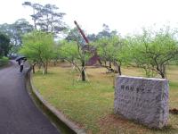 北桃旅遊｜軍艦岩親山步道.花卉試驗中心.行館梅花季二日｜中部出發