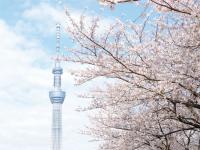 東京旅遊｜《人氣推薦》東京TAVINOS系列酒店4天3夜自由行(贈東京48小時地下鐵乘車券)★台灣虎航★｜高雄出發