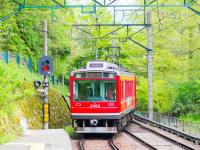 東京旅遊｜富士山.箱根鐵道黃金路線.小田原天守閣.鶴岡八幡.新宿都廳.螃蟹雙湯五日｜保住東京巨蛋飯店