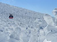 寒假折2,000|東北.銀山溫泉街.藏王樹冰纜車.狐狸村.仙台水族館.最上川遊船.松島.和牛餐.採果.溫泉五日