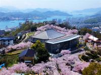 春櫻四國｜賞櫻名所～津山城(鶴山公園).旭川櫻花道.尾道千光寺.岡山後樂園.松山城.道後溫泉六日｜台中出發