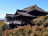 客製｜經典關西三都~清水寺.千本鳥居.東大寺.梅花鹿~迷你小團五日【專屬包車】(北/高出發)※不含機票