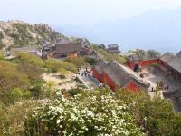 玩樂山東|五嶽泰山、曲阜孔廟、明水古城、青島自由行8日|2人成行、送eSIM上網
