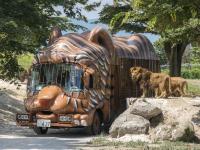 九州｜虎航｜自然野生動物園.叢林巴士.湯布院.萌熊電車.全新熊本城.雙溫泉五日｜高雄直飛