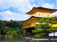 限定關西四都旅遊｜全程無自理餐｜京阪神奈.梅花鹿公園.嵐山渡月橋.伏見稻荷大社.北野異人館.OUTLET五日