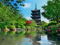 客製｜京都八条源町邸包棟民宿.教王護國寺.京都水族館.鐵道博物館迷你小團5日【專屬包車】(北/高出發)※不含機票