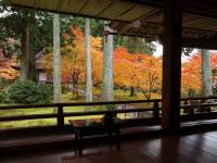 客製｜京都百年巷弄町家民宿一晚.京都御所.大原三千院.平等院.花之御院.奈良長谷寺迷你小團5日【專屬包車】※不含機票