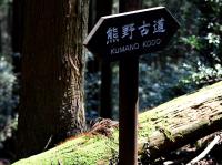 日本│朝聖之路│熊野古道名湯美食健行5日(含小費)(含證書)