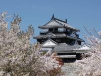 春櫻四國｜賞櫻名所～栗林公園.頓田川河堤畔櫻花.小豆島橄欖公園.採草莓五日｜台中出發