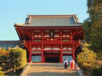 TTE旅展限量搶｜東京橫濱漫遊趣｜古都鎌倉.江之島老街.浪漫橫濱.OUTLET血拚.淺草上野挖寶.搶購東京超值五日