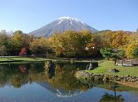 限定PLUS北海道旅遊｜全程無自理餐.保證入住萬怡.升等螃蟹和牛吃到飽.函館夜景.小樽.美食五日｜四晚溫泉