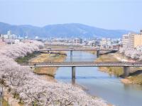 清明連休~北陸旅遊｜5大賞櫻名所~兼六園.丸岡城.松川賞櫻船.足羽川櫻花隧道.新穗高纜車.合掌村.甜蝦吃到飽五日｜不進店