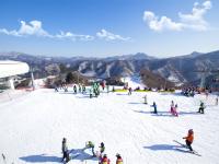 韓冬滑雪｜首爾｜早去晚回.升等住明洞飯店自由逛.滑雪體驗.臨津閣和平纜車.南怡島雪境.懸索吊橋.星光庭園(二站購物)五日