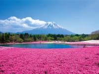 東京旅遊｜富士芝櫻.箱根鐵道.大涌谷.登上晴空塔.御殿場OUTLET.迪士尼五日｜高雄來回