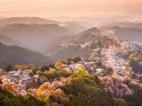 客製｜關西千本櫻~名所吉野山.造幣局.平野神社迷你小團五日【專屬包車】(天天出發)※不含機票