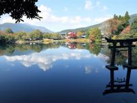 客製｜九州春節.別府湯布院.御船山樂園.阿蘇米塚.迷你小團五日【專屬包車】天天出發※不含機票