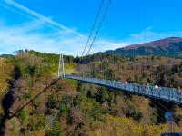 一起揪吧九州｜保住別府灣和藏.熊本城.九重夢吊橋.南阿蘇鐵道.兩晚溫泉五日|升等長腳蟹吃到飽