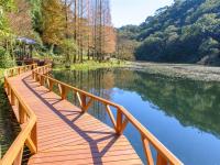 大東北角｜宜蘭旅遊.限量預約~福山植物園.礁溪飯店下午茶.湯圍溝泡腳放鬆一日