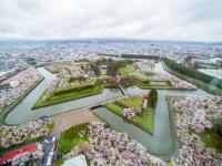 北海道旅遊｜春櫻綻放！五稜郭.函館夜景纜車.OUTLET.小樽.浪漫花火.三大螃蟹溫泉五日｜一晚五星三晚溫泉