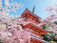 關西旅遊｜《雙城遊》京都五条坎帕納ｘ大阪道頓堀酒店6天5夜自由行★台灣虎航★含稅．含20公斤行李｜高雄出發