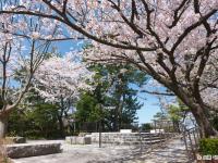 九州｜春櫻名所｜金麟湖~湯布院.宇佐神宮.黑川溫泉.和牛燒肉吃到飽.太宰府~旅人列車.溫泉五日|高雄直飛