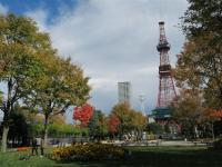 【主題旅遊】2025日本北海道馬拉松5日(奧運賽道、小樽運河、富田農場賞花)